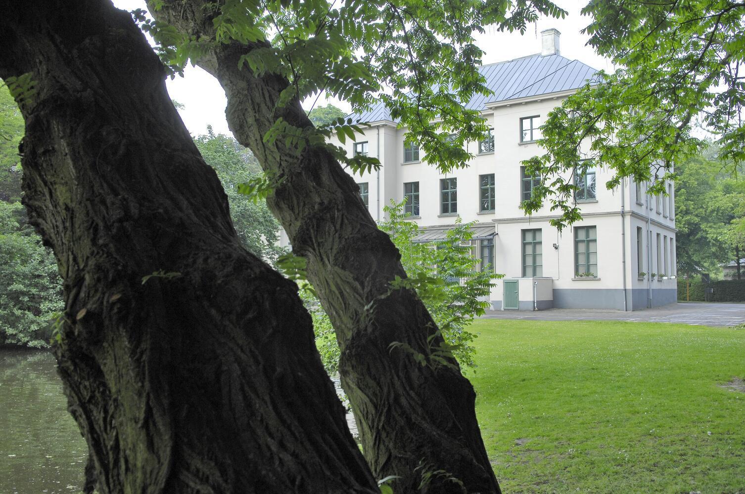 Park Pieter Cieterslaan